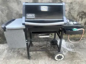 Gas Grill With Burner Control