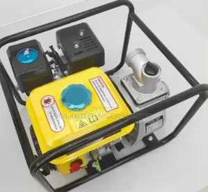 Senwei Wp20x Water Pump