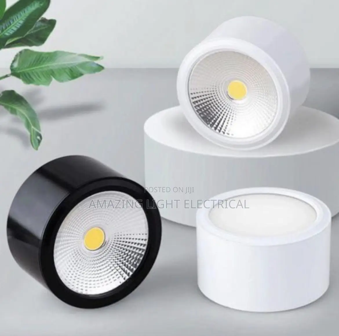 Perafect Light