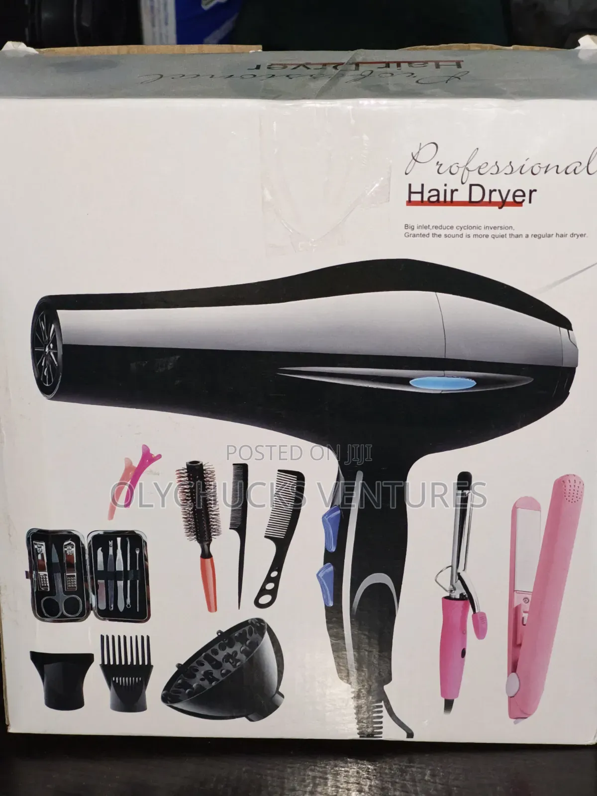 Professional Hair Dryer