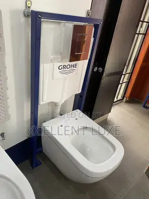 Grohe Executive Conceal Wc With High Pressure Flushing System