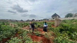 Harmony Garden Estate, Trans-Nkisi, Gra Onitsha