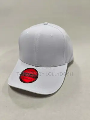 Premium Plain Curved Brim Baseball Hat