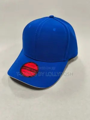 Premium Plain Curved Brim Baseball Hat