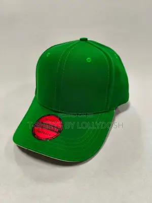 Premium Plain Curved Brim Baseball Hat