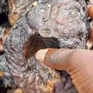 Premium Dried Asa Fish (Caterers' Choice Wholesale Carton)