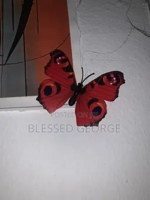 Butterfly Wall Art Decoration