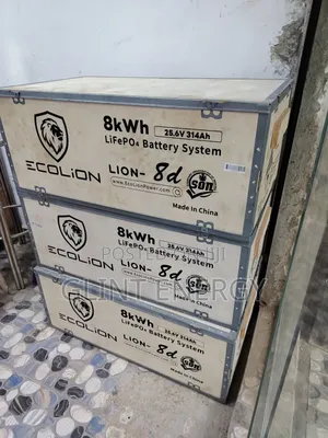 8kwh 24v Ecolion Lithium Battery