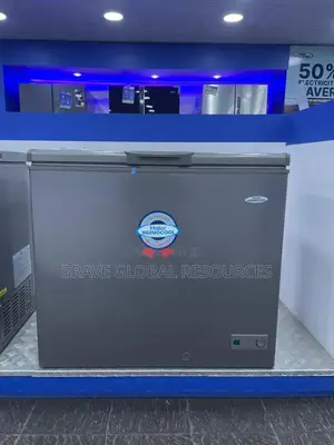 Haier Thermocool Freezer 200 Silver