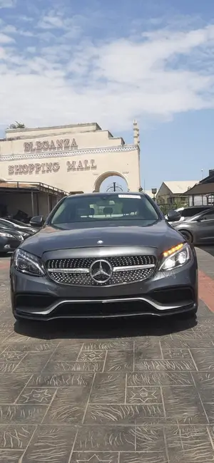 Mercedes-Benz C300 Sport Sedan RWD (2.0L 4cyl 7A) 2016 Silver