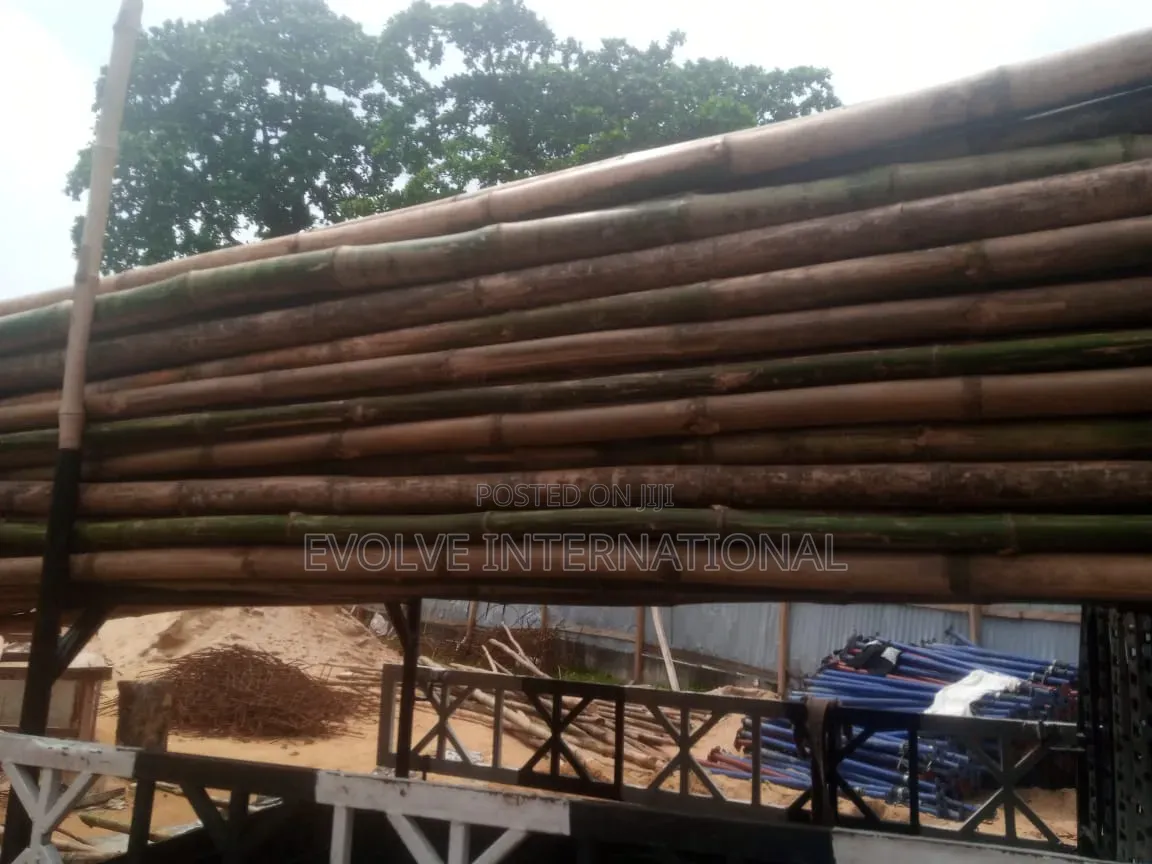 Big Bamboo Bamboo