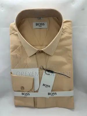 Hugo Boss Shirt