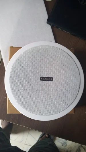 Original Tundra Passive Ceiling/Pop Speaker