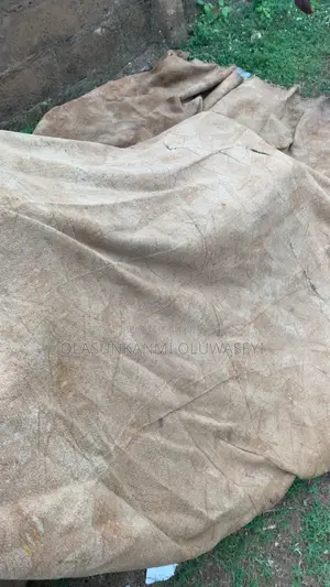 Capet Rugs