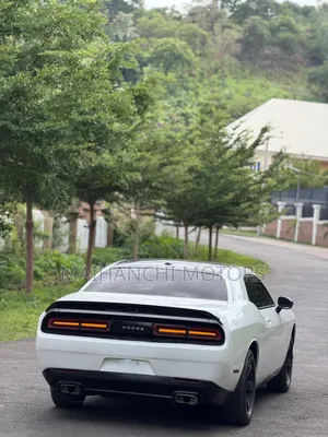 Dodge Challenger R/T 2013 White