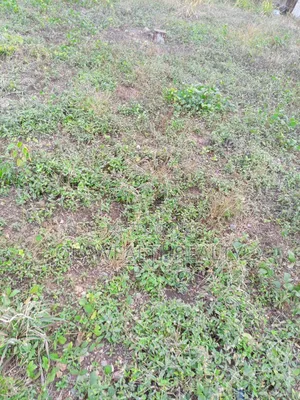 893sqm Residential Land at Apo Dutse