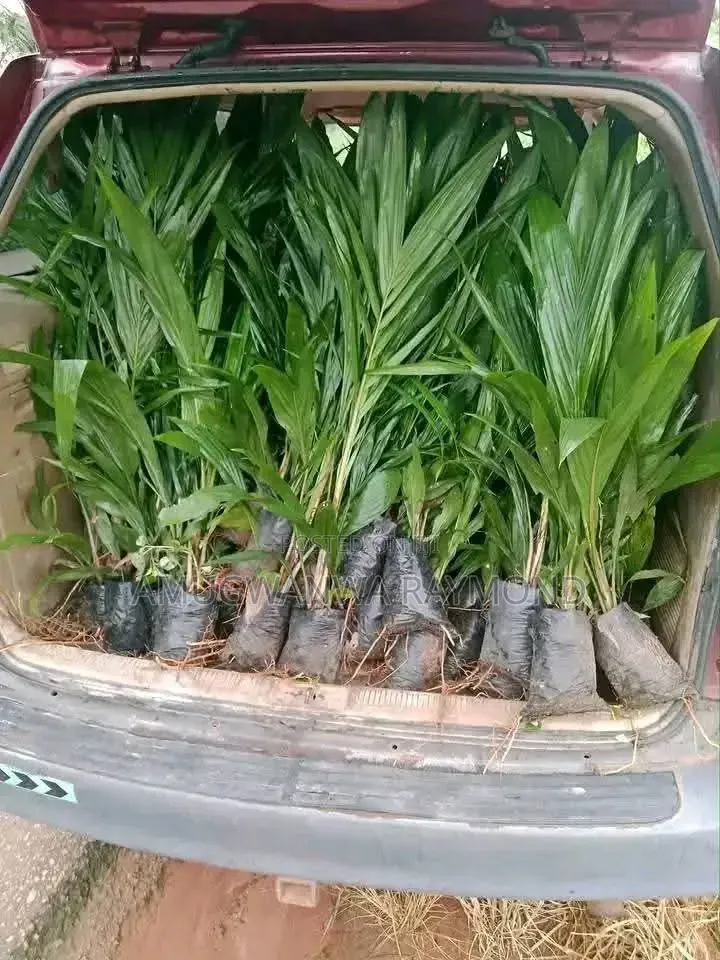Horticulture