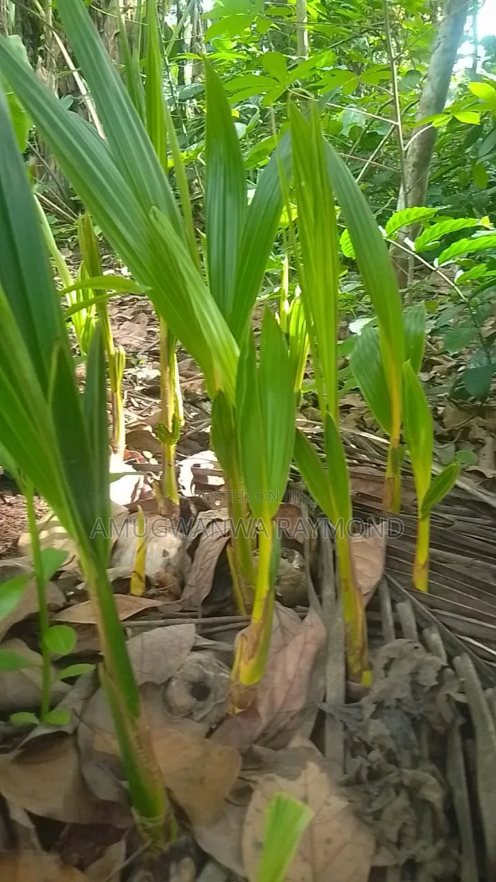 Horticulture