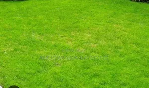 Horticulture
