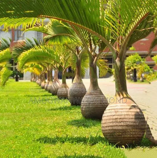Horticulture