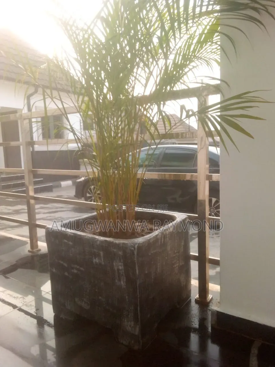 Horticulture