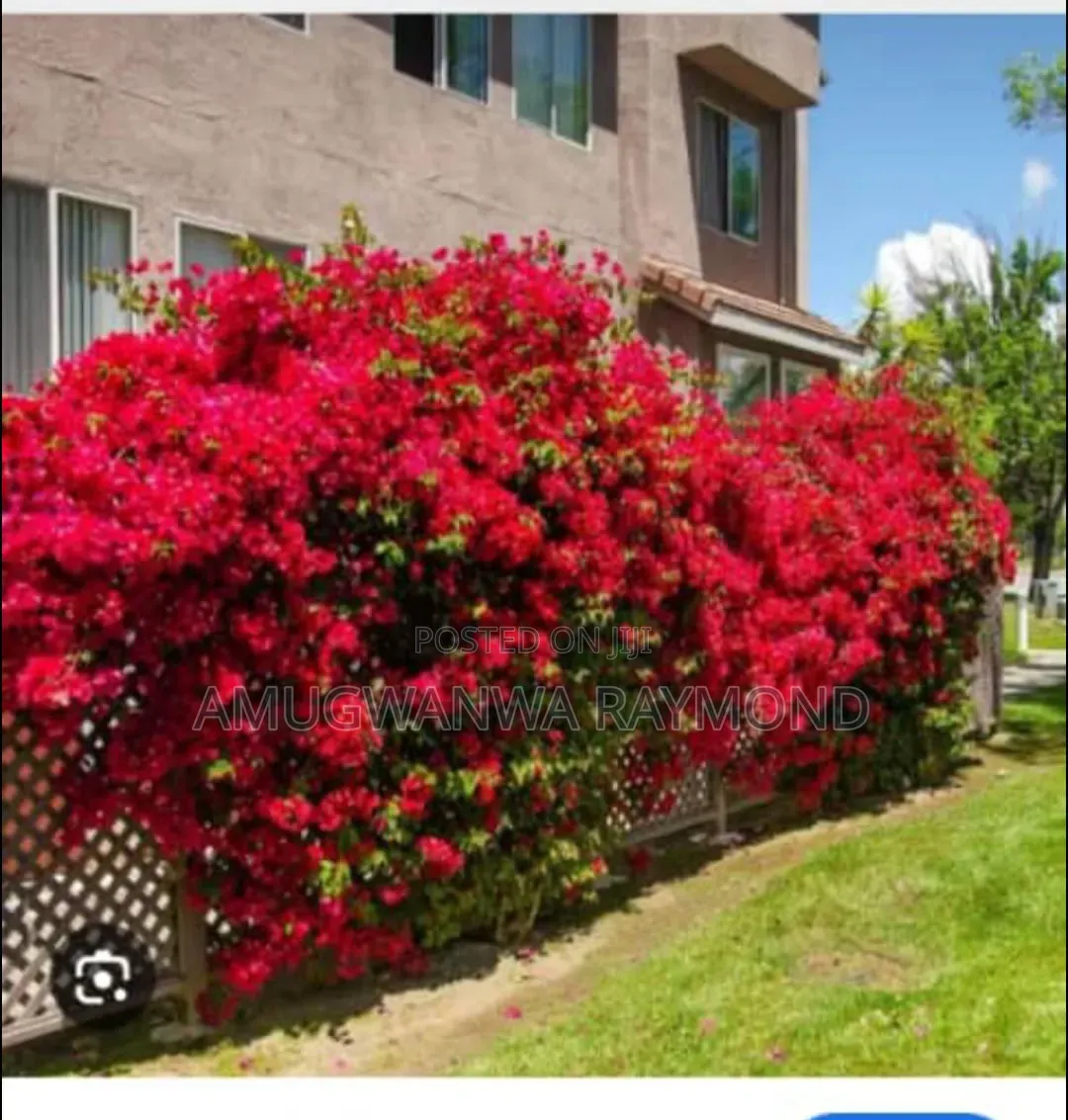 Horticulture