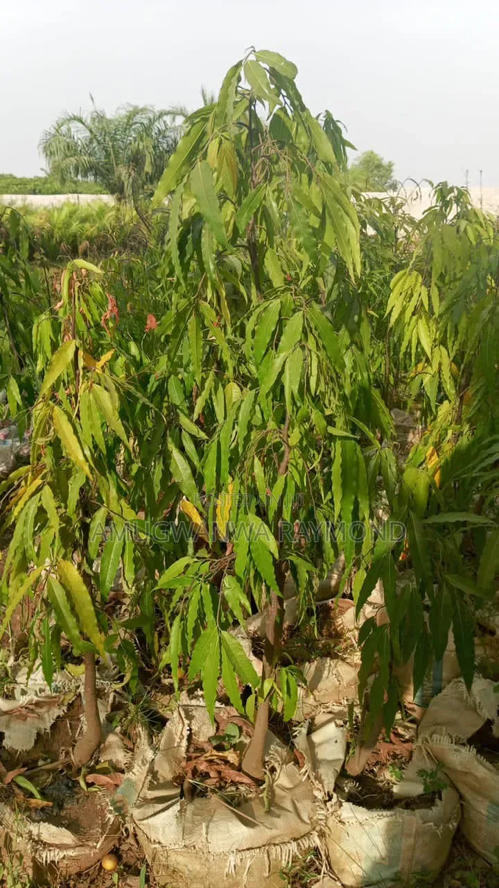 Horticulture