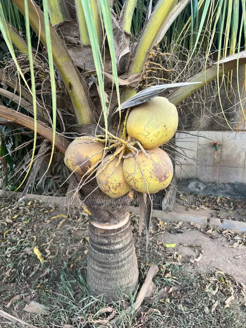 Horticulture