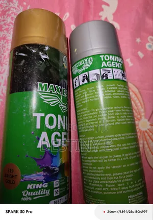 We Are Looking for Distributors for Our Spray Paint.