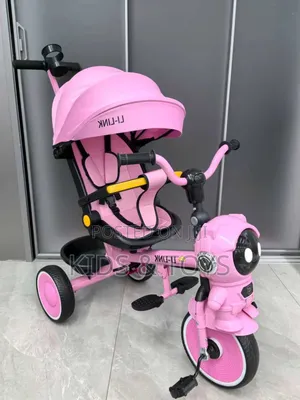 Pushing Tricycle With Canopy