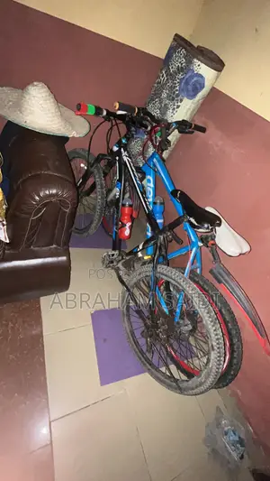 Bicycle Black
