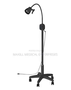 Led Angle Poised Lamp