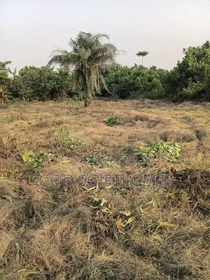 Buy & Build Land In Fast Developing Location In Obrikwere