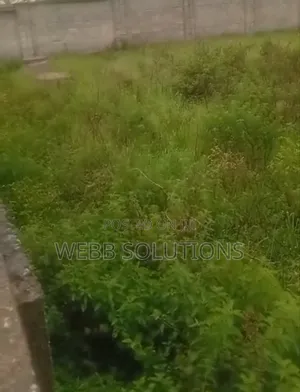 Commercial Land for Sale in Jahi
