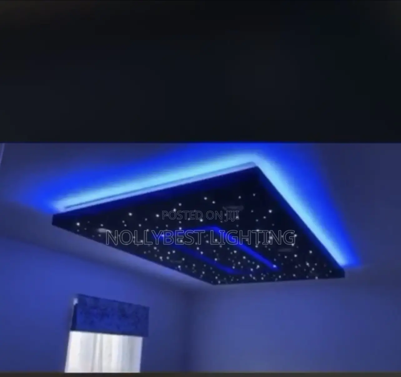 Fiber Optic Light