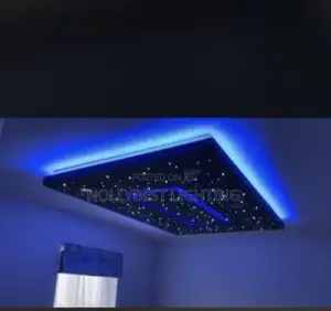 Fiber Optic Light