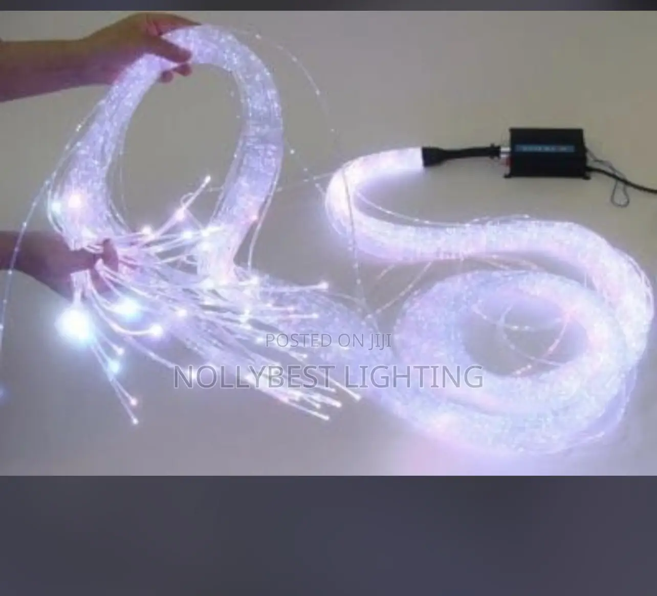 Fiber Optic Light