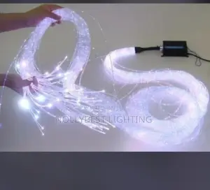 Fiber Optic Light