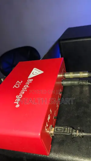 Studio Mic and Soundcard Birdsinger