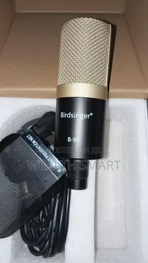 Studio Mic and Soundcard Birdsinger