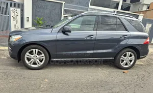 Mercedes-Benz M Class 2013 Gray