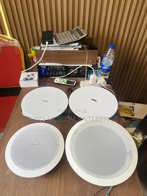 30w/50/40w High Quality Framless/ Frame Ceiling Speakers