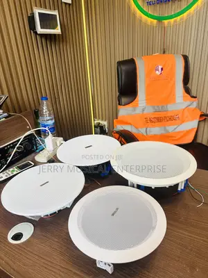 4n1 Passive Ceiling Speakers Woofer