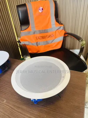 50w Passive Voltage Ceiling Speakers