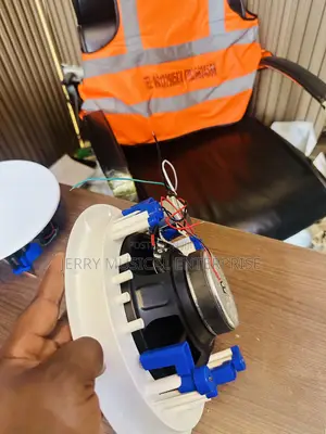 50w Passive Voltage Ceiling Speakers