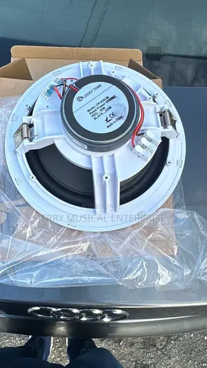 50w Lucky Tone Framless Woofer Speakers