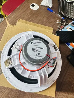 8inches Framless Passive Ceiling Speakers
