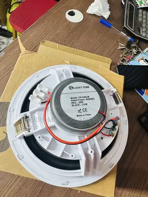 8inches Framless Passive Ceiling Speakers