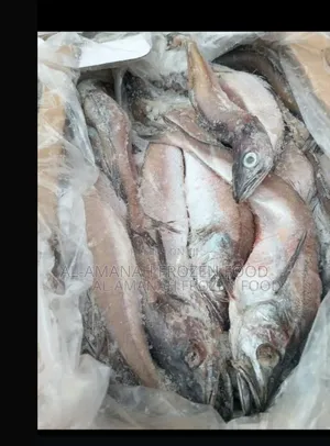 Kpanla Fish