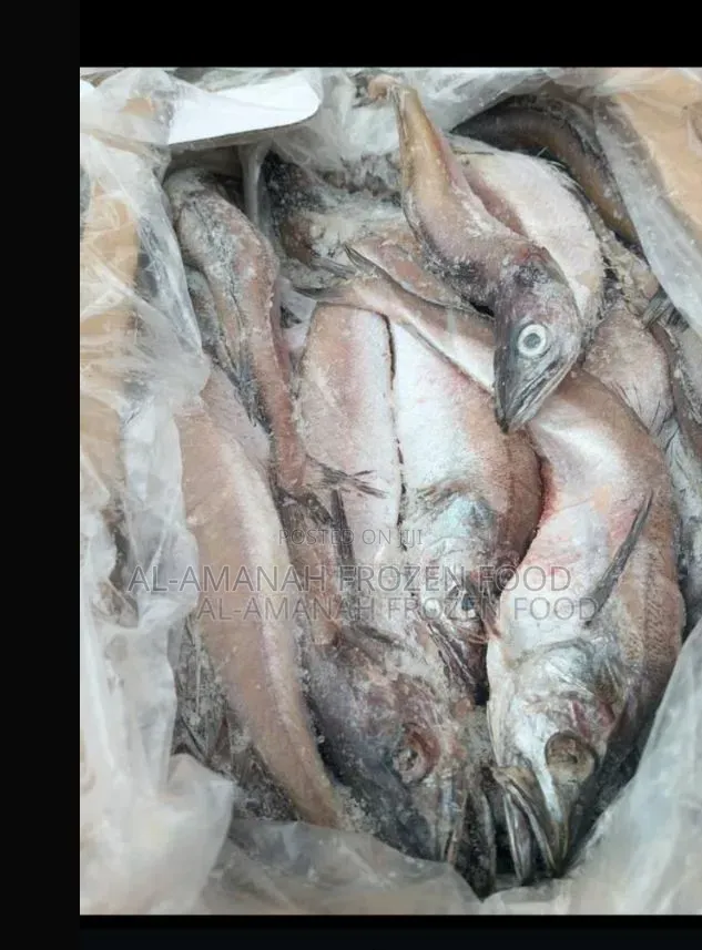 Kpanla Fish